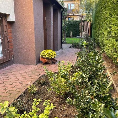 Maly Apartament Z Kuchnia I Lazienka Appartement Szczecin Buitenkant foto